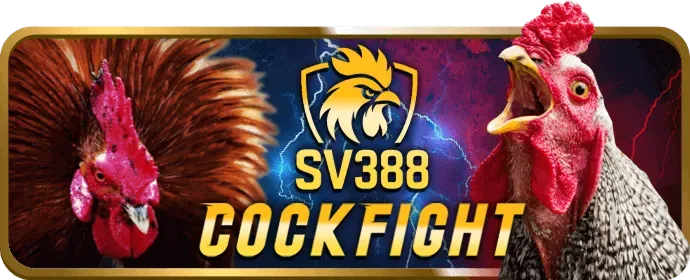 Giao diện thân thiện 888win casino